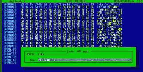   IDA Pro,  shell-